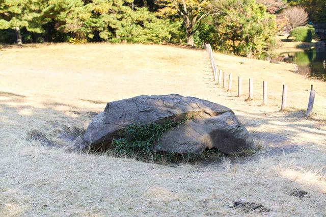 画像1: 明治神宮屈指のパワースポット、亀石