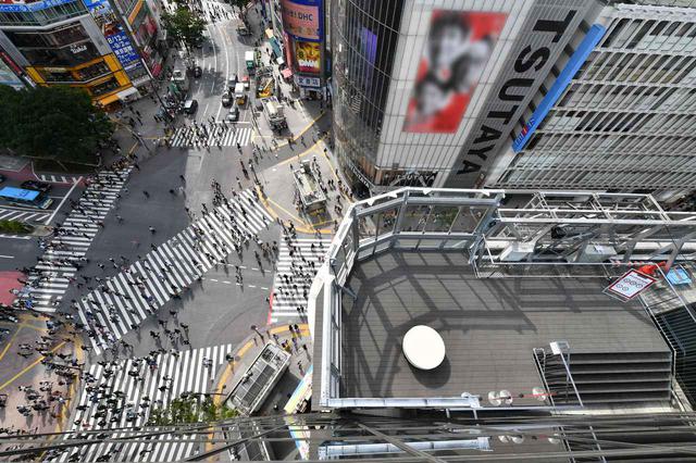 画像: 「CROSSING VIEW(クロッシングビュー)」
