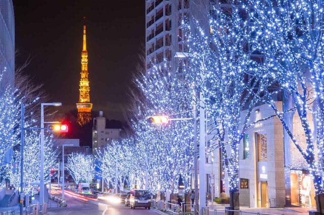 画像: C【銀座&六本木】モードでアートな大人の街さんぽ