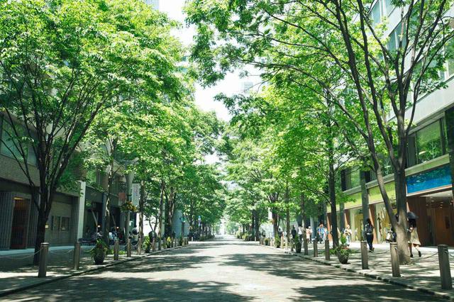 画像: D-7「丸の内仲通り」でおしゃれなお散歩を