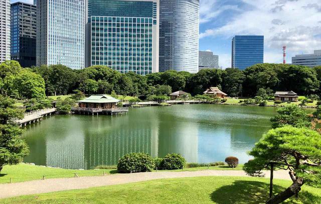 画像: 提供:公益財団法人 東京都公園協会