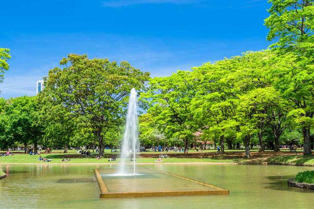 画像: B-4「代々木公園」はイベントで賑わう休日がおすすめ