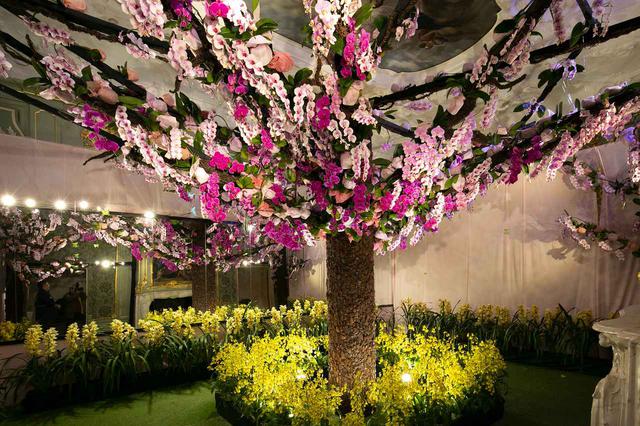 画像2: 春先のチューリップに冬の胡蝶蘭、季節の花に見惚れる