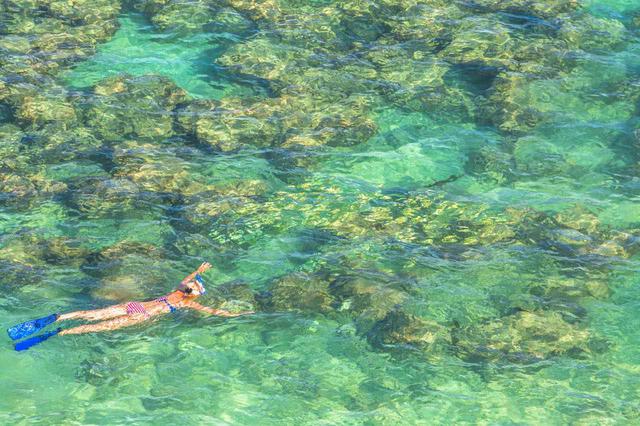 画像: 透明度の高い海でシュノーケリングを満喫 (c) Shutterstock.com