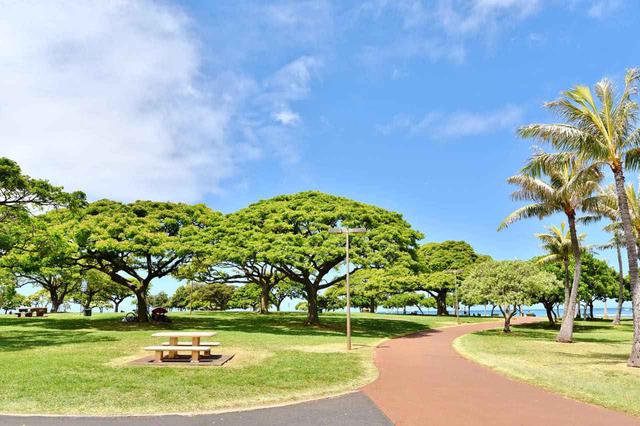 画像: 緑の公園ゾーンでのんびりする人も
