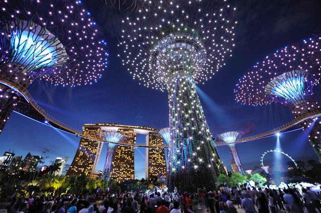 画像: さまざまな色に変化するスーパーツリー・グローブのナイト・ショーは1日2回開催 Photo: Gardens by the Bay