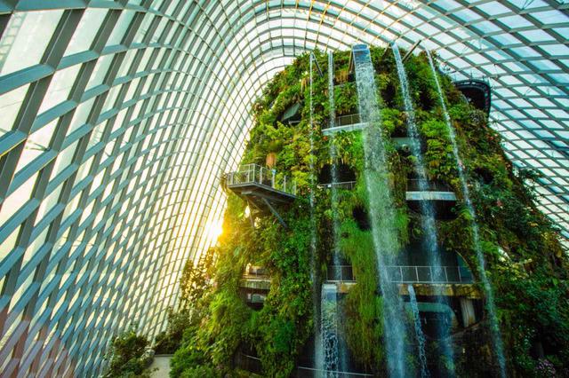 画像: 人工の山、クラウド・フォレストは頂上まで登ることができます Photo: Gardens by the Bay
