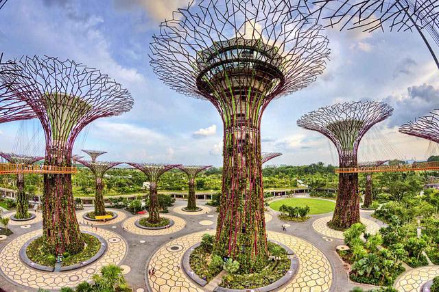 画像: スーパーツリー・グローブが集うとまるで異空間のよう Photo: Gardens by the Bay