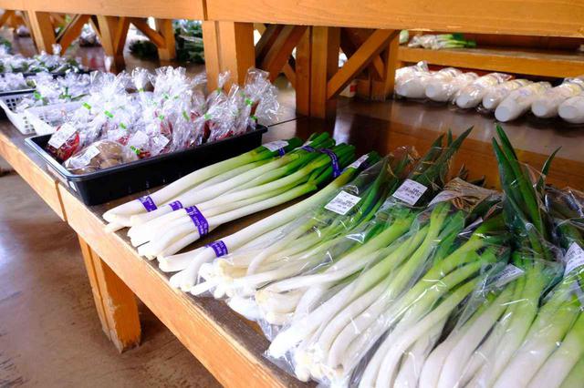 画像: うららの森には阿賀野市で育った野菜を購入できる「ゆうきふれあい即売所」があります。阿賀野市は早くから野菜作りに有機栽培で取り組んだ地域。新鮮で立派な野菜がなんともお安く手に入っちゃいます!