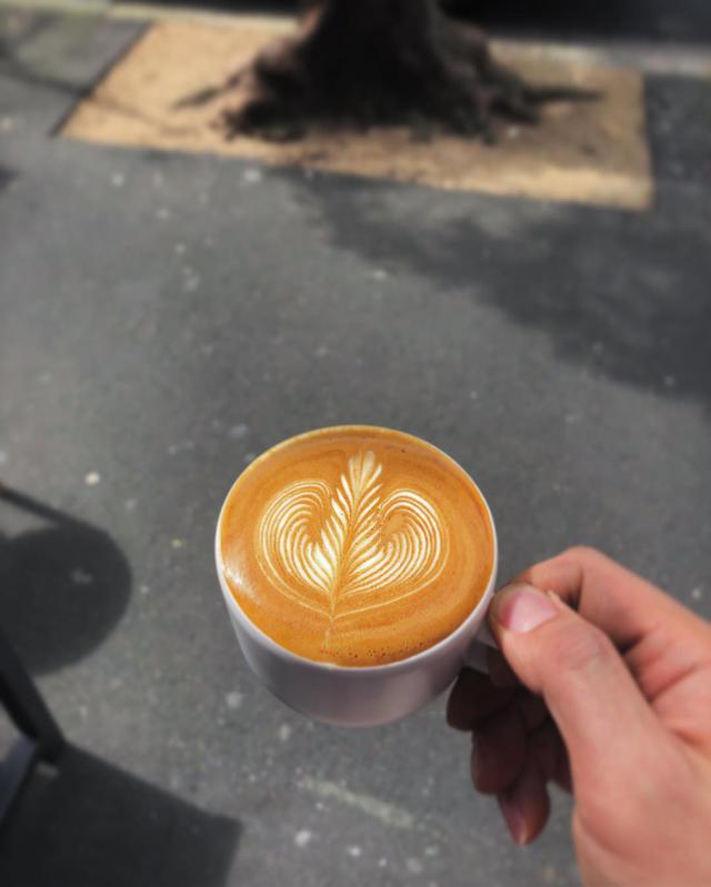 画像2: 5.コーヒー愛好家に密かな人気の穴場店『Primary Coffee Roasters』(プライマリー・コーヒー・ロースターズ)