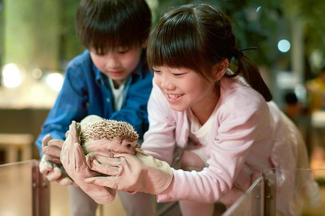 画像8: 2020年最新。横浜みなとみらい観光を満喫する、2つのおすすめコース