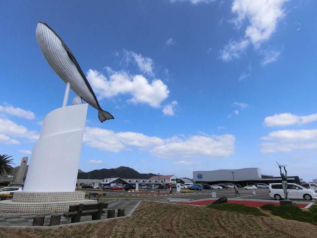画像: 2017年10月オープンの道の駅「センザキッチン」。何度来てもワクワクする空間