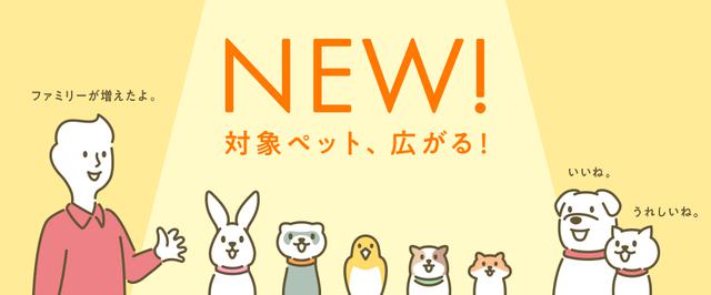 画像2: 少ないマイルからでも交換できるほか、ユニークな活用方法もあります