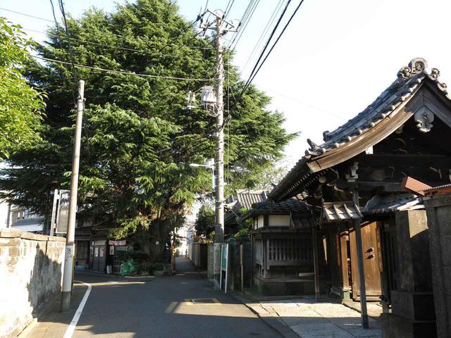 画像: 【谷中エリア】のんびり下町のおすすめスポット