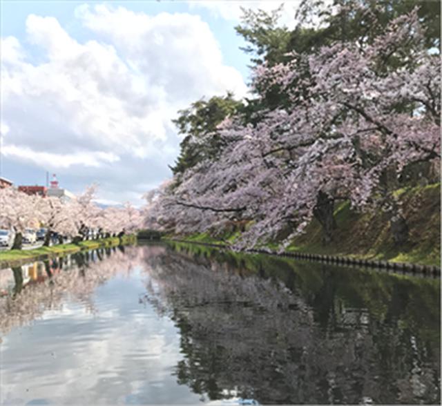 画像1: 必ず春はやってきます ~青森支店の#旅を夢見て~