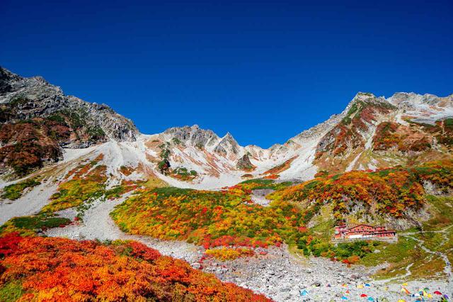 画像: 涸沢の紅葉