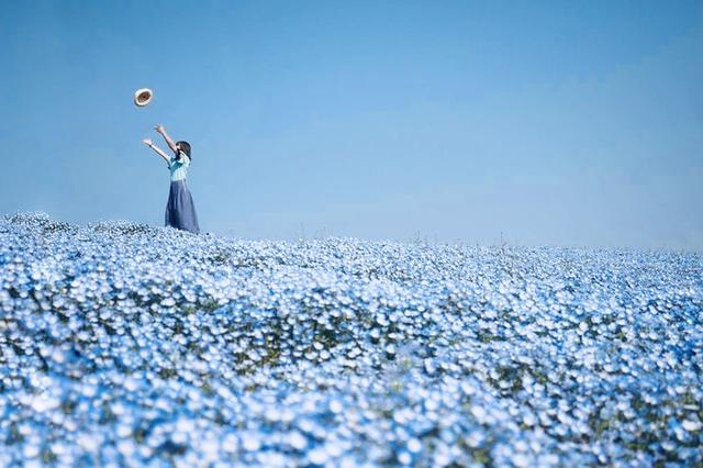 画像: https://trico.jal.com/placegallery/report/64218/