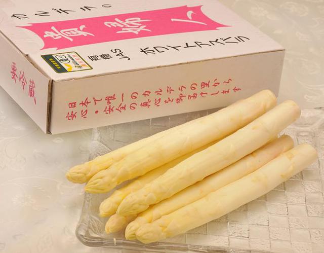 画像: 【有機JAS認証】『ホワイトアスパラガス 4L以上(約600g 6~9本前後)』北海道産 3,780円(税込)