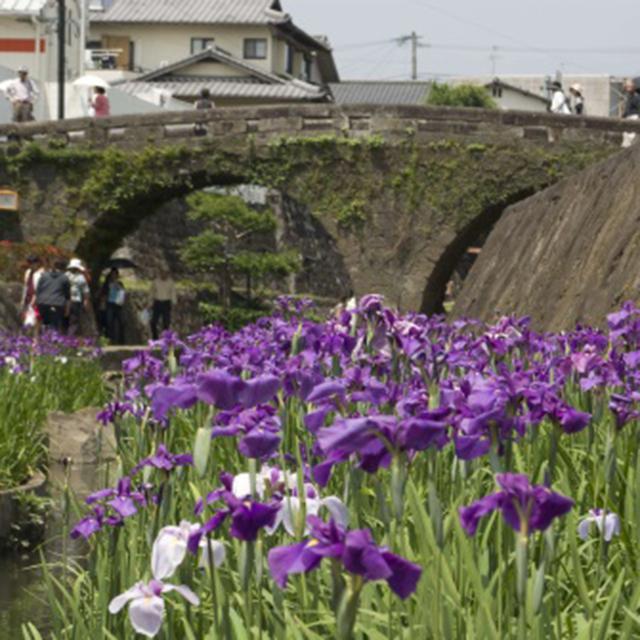 画像1: 熊本 玉名で「ゆる旅」いかがですか?