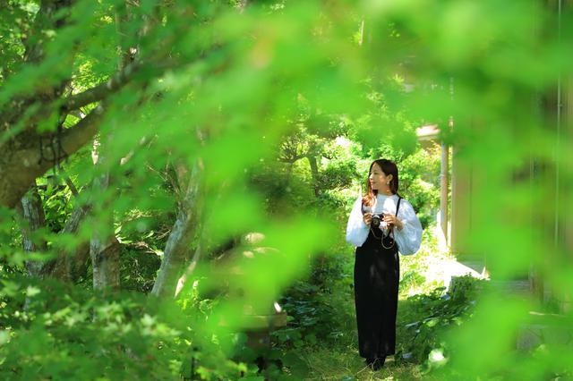 画像10: 【雲仙温泉 東園】自然の恵みに癒される時を