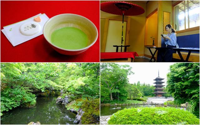 画像: お寺のお休み処「やすらぎ」では抹茶と和菓子が楽しめます。室内から五重塔がきれいに見え、また目の前の池では錦鯉が泳ぎます。