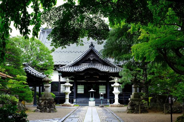 画像: 本堂の周辺も緑に囲まれていました。さらに奥に進むと庭園があります。