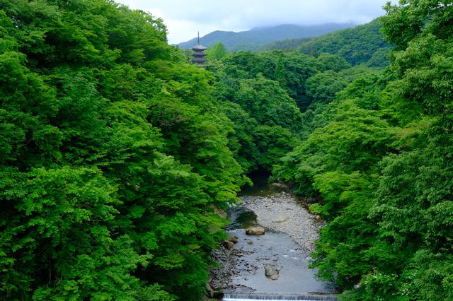 画像: 大倉川の清らかな流れと深い緑に包まれる五重塔を拝み、見どころいっぱいの定義山を後にしました。