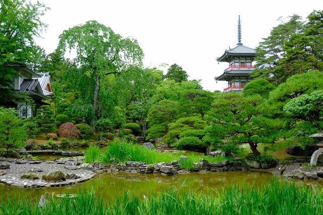 画像: 回遊式の庭園で池の周りをぐるりと散策できます。四季の花や木々が生い茂る景色、それらの池への映り込みなどが見る角度によってどんどん移り変わる楽しさ、また、三重塔との調和も見事です。