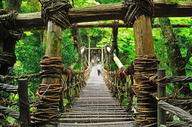 画像1: 【2日目】秘境ならではの絶景が満喫できる『祖谷のかずら橋』