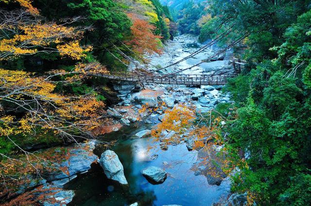 画像2: 【2日目】秘境ならではの絶景が満喫できる『祖谷のかずら橋』