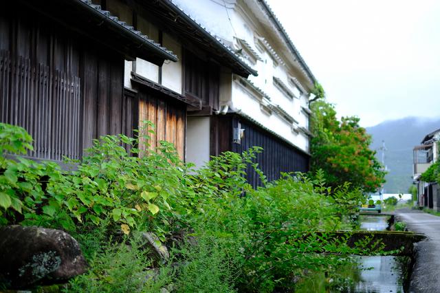 画像: 町中を流れる川もきれいで、周囲に生える自然の草花は生命力に溢れていました。