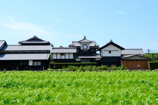 画像: すぐ前にはひまわりが植えられ、季節になると一面黄色の世界になります。