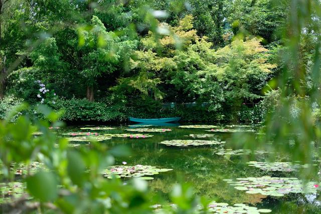 画像: 水鏡に映り込む木々や四季を楽しめるよう、日々の手入れを欠かさないそう。本家フランスやモネの絵画の世界観を見事に再現し、自分も絵の中にいるような感覚になれます。