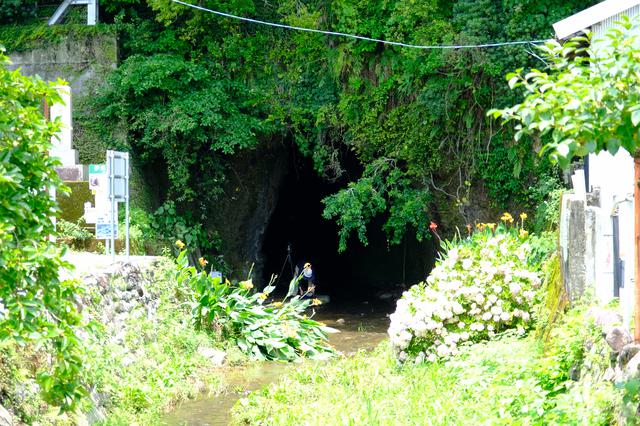 画像: 国道脇に突然現れる洞窟の入口。ここが「伊尾木洞」です。短いコースだと数十分でまわれます。