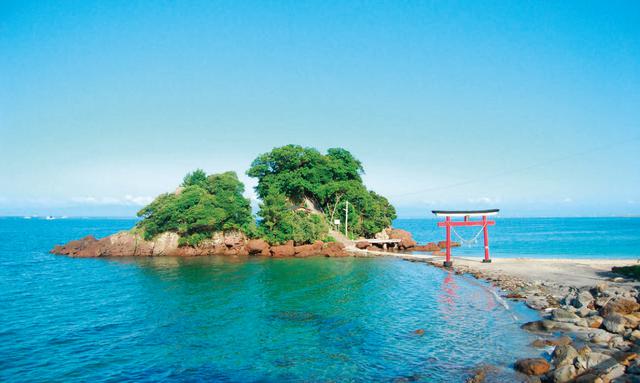 画像2: おじゃったもんせ!大隅半島、SNS映えスポットの宝庫へ