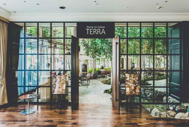 画像1: 4.ランチで人気のサラダバーでも感染予防対策。「Farm to Table TERRA」