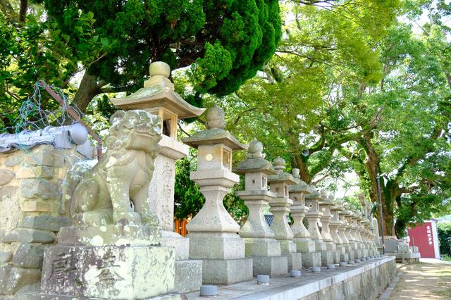 画像: 狛犬、燈籠が並び、大きな木々が茂る船守神社。