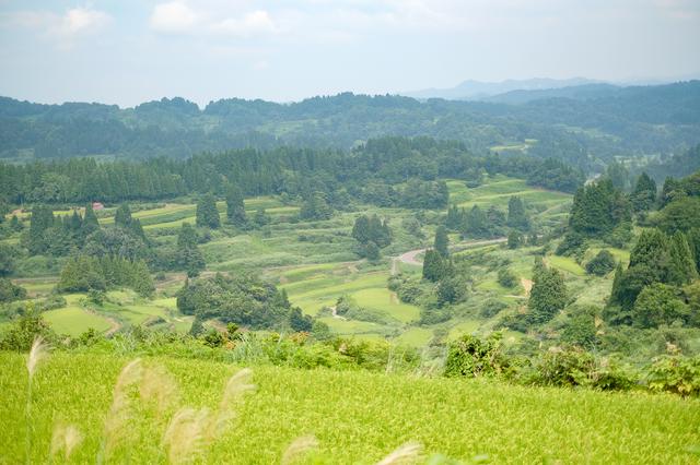画像: 自然豊かな新潟県十日町市で、“ウィズコロナ”時代の旅を満喫