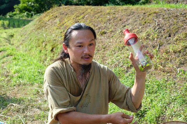 画像2: 山の麓で、ホーリーバジルの花摘みを体験