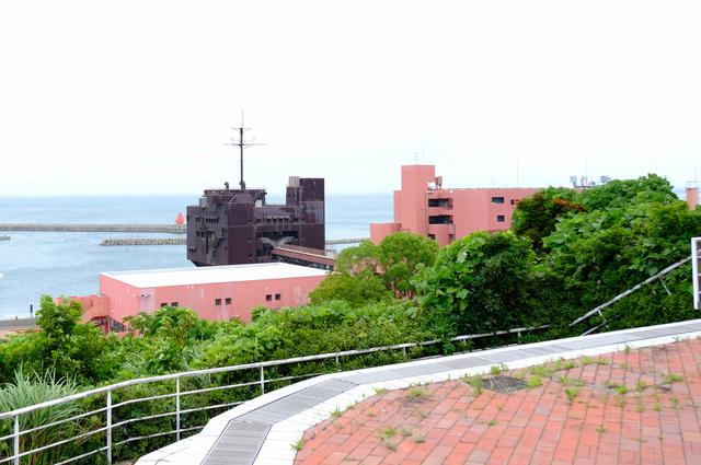 画像: ホテルと海の間には「大阪府青少年海洋センター」があり、海アクティビティの拠点となっています。