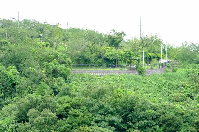 画像: 淡輪遊園の目の前に位置し、建物の窓からは緑あふれる景色が楽しめます。季節になるとここに赤やピンクのつつじが咲き誇ります。