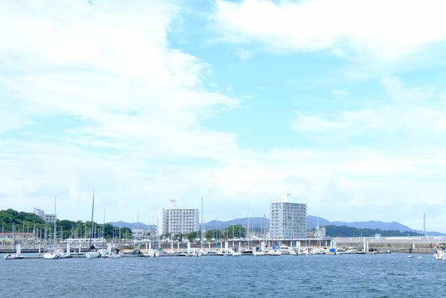 画像: 淡輪港をぐるり散策。キラキラと陽射しを受けるヨットが並ぶハーバーは、まるで日本じゃないみたいな景色。