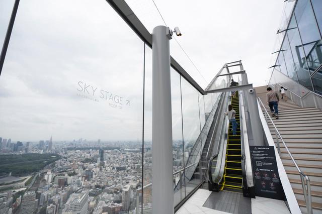 画像3: 渋谷、浅草、お台場…東京の人気観光地の「今」をレポート
