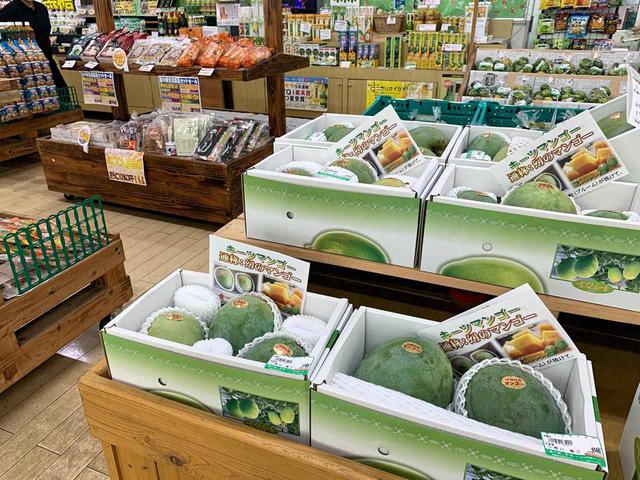 画像4: 穏やかな秋風の季節には沖縄本島北部へ。コロナ禍でも営業を続ける各地の取り組みをレポート