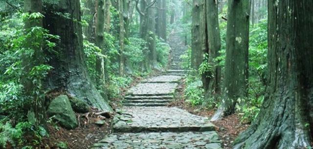 画像: 熊野古道の中でも石畳が美しい大門坂
