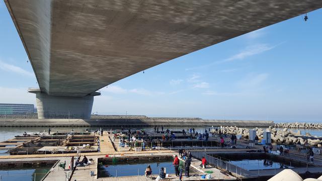 画像4: 関西国際空港の対岸の町、「田尻町」のステキなスポットをご紹介!
