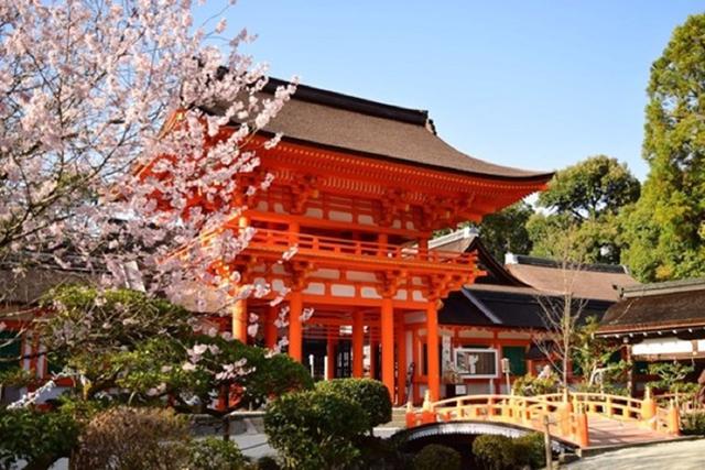 画像: 春の賀茂別雷神社