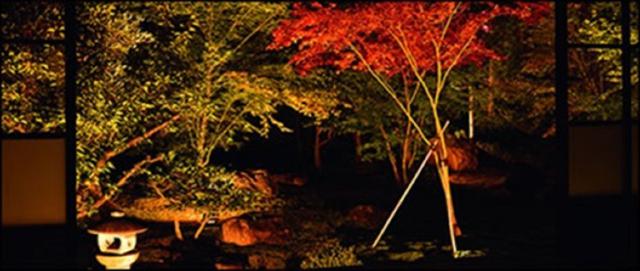 画像: 秋の庭園