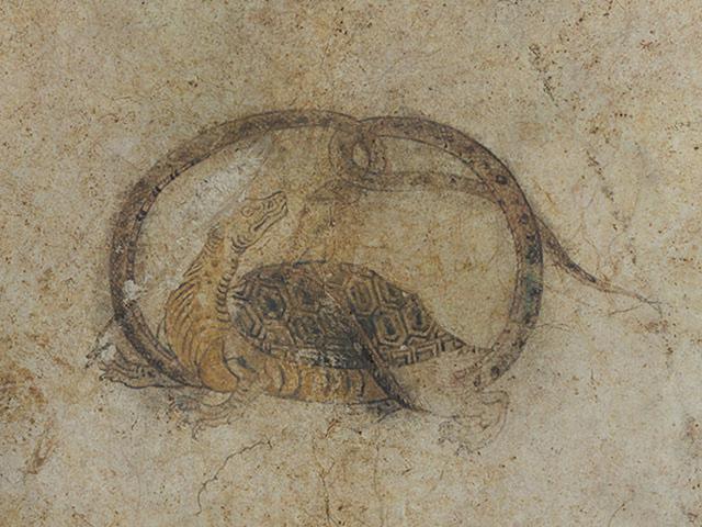 画像: 北を司る「玄武」には、蛇が絡まった亀の姿が描かれています