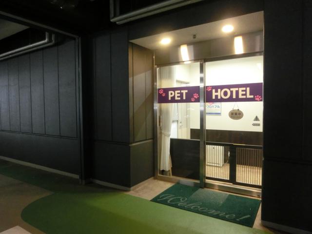 画像1: 羽田空港雑学File 3 早朝から最終便まで、大切なペットを預かるペットホテルがあります
